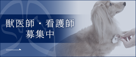 獣医師・看護師募集中