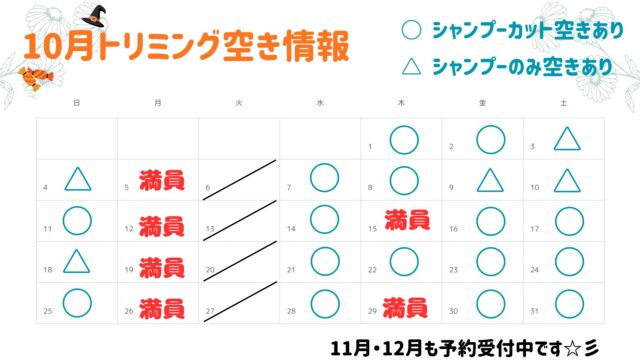 .

名古屋みなみ動物病院トリミング✂︎
10月のご予約状況についてお知らせです✨️

お問い合わせは病院受付または
トリミング電話(090-3953-1720)まで
お願いいたします¨̮⃝

タイミングによりご希望の日程が
埋まっている場合もございますので
あらかじめご了承ください🙇‍♀️

ーーーーーーーーーーーーーーーー

当院での診察・トリミングを
ご利用したことがない8歳以上の子、
持病として心臓病やてんかん発作がある子は
一度診察を受けてからのトリミングになります🐶

#動物病院 #名古屋市南区 #トリミング #予約受付中  #名古屋みなみ動物病院どうぶつ呼吸器クリニック